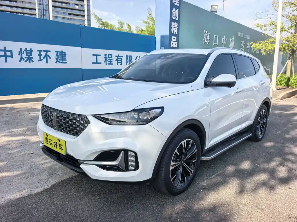 Wey Wey VV6