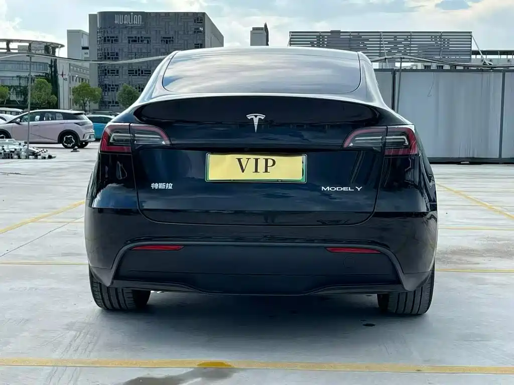 Tesla Model Y — миниатюра 8