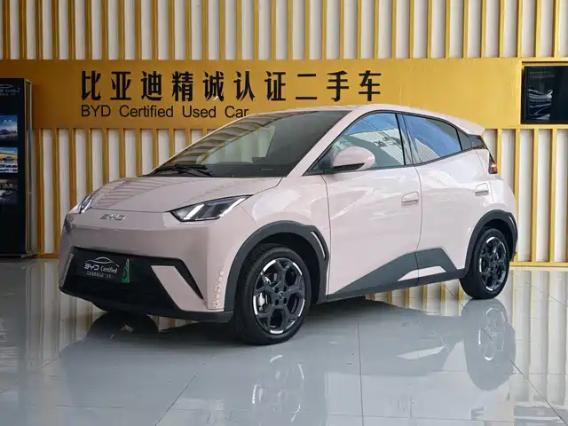 BYD Seagull