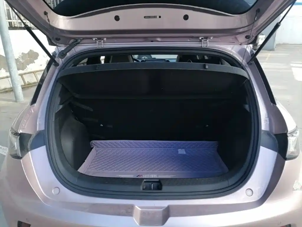 BYD Dolphin — миниатюра 19