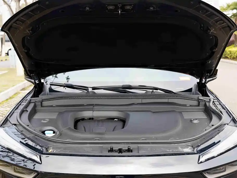 WEI PAI WEI BRAND BLUE MOUNTAIN