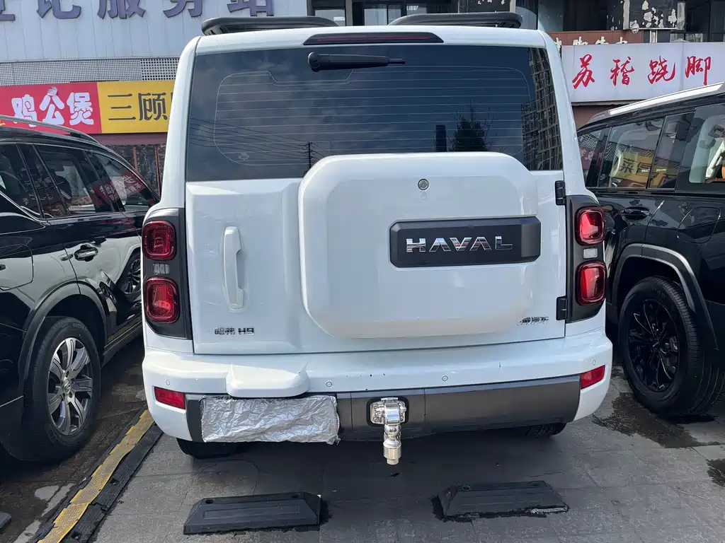 HAVAL H9