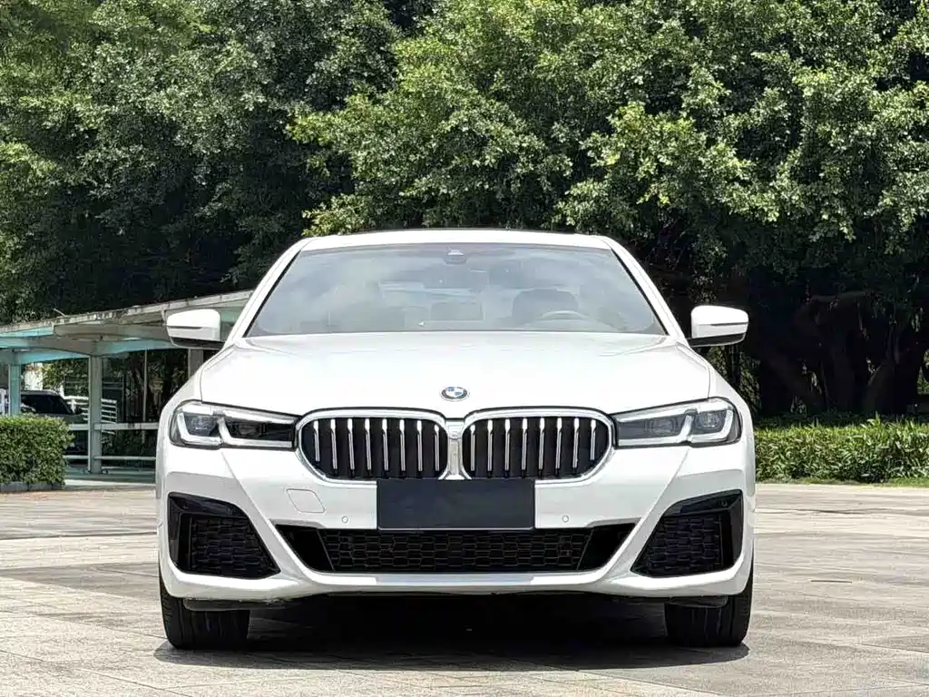BMW 5 Series 5 2022 530Li Lead M Sport