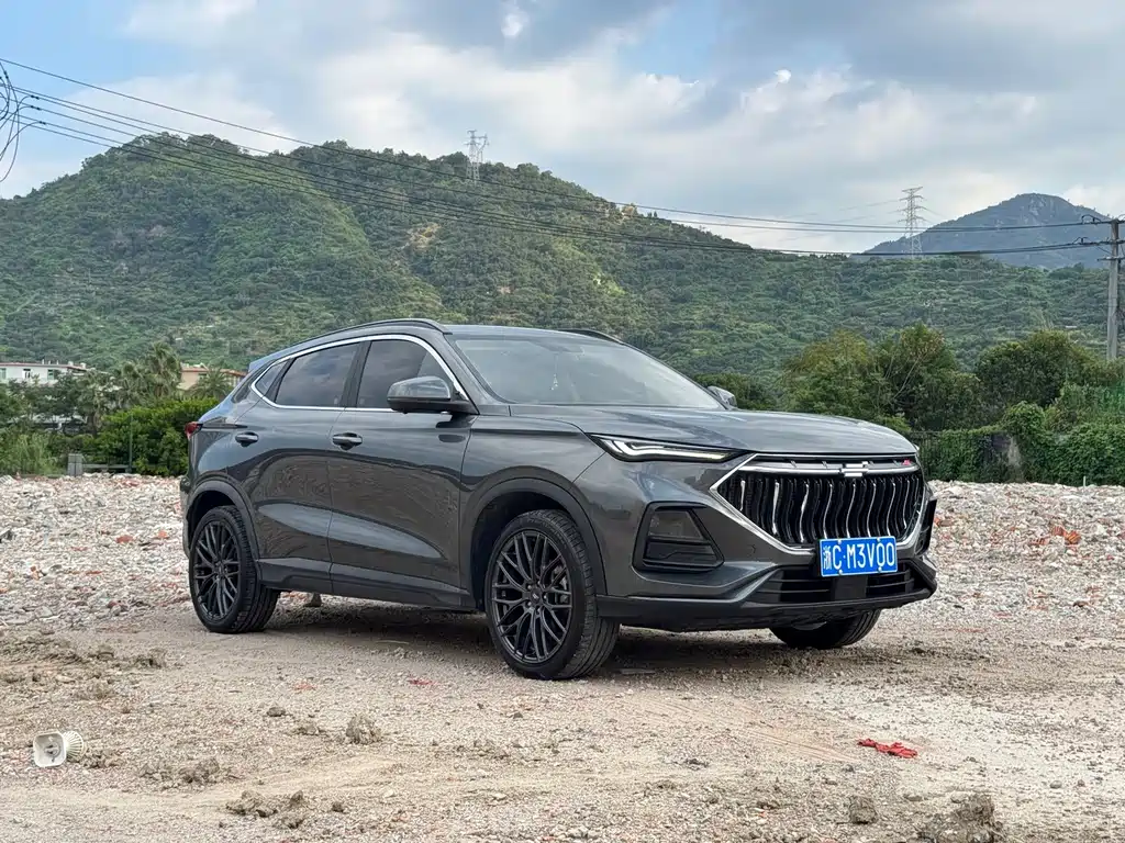 Oshan Oushang X5 — миниатюра 12