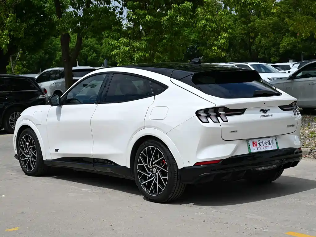 Ford Mustang Mach-E — миниатюра 3