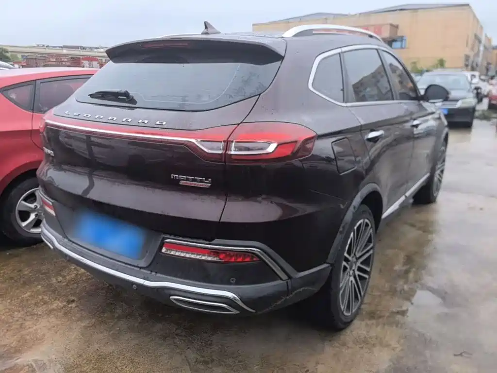 Leopaard Mattu — миниатюра 7