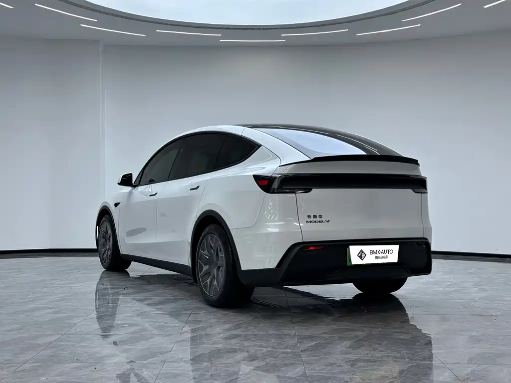 Tesla Model Y L — миниатюра 5