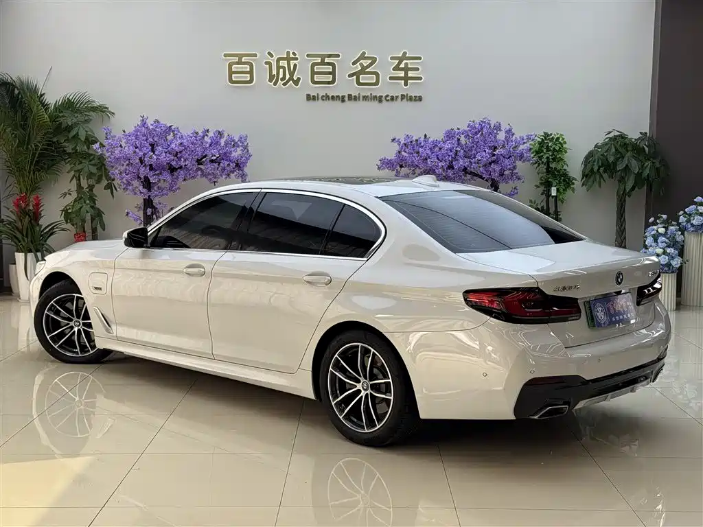 BMW 5 SERIES NEW ENERGY