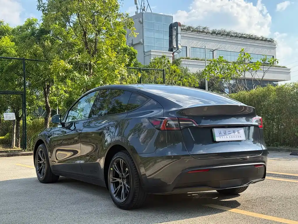 Tesla Model Y — миниатюра 9