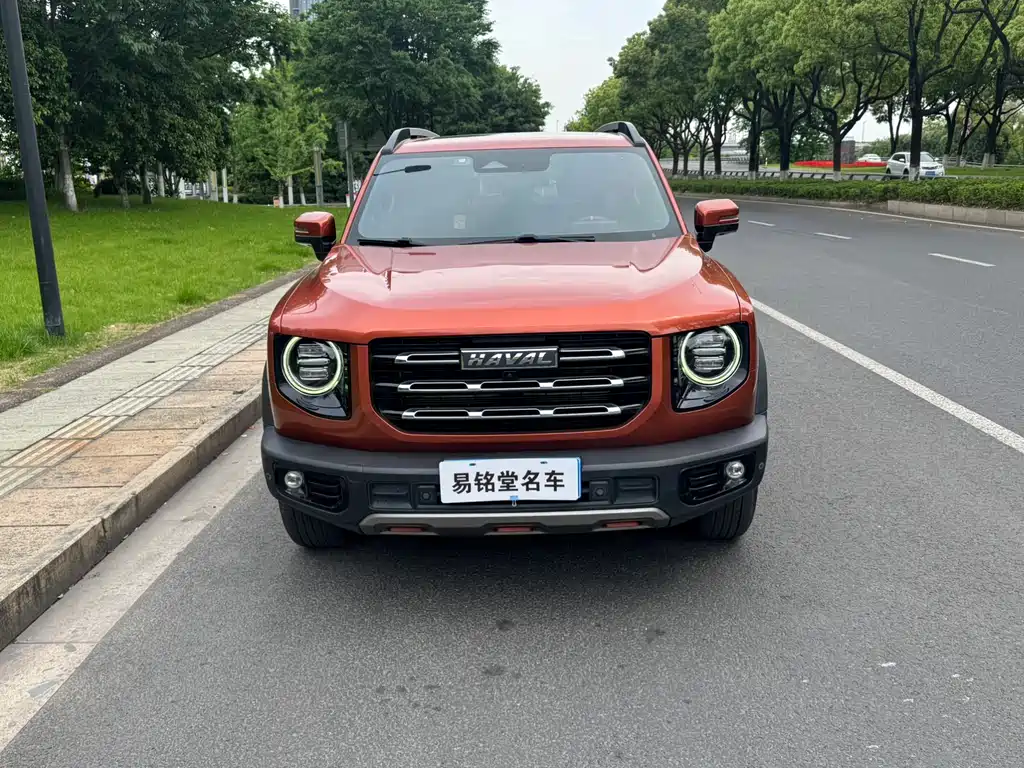 Haval Dargo 2.0T DCT 4WD Chinese Rural Dog Edition, фото 2
