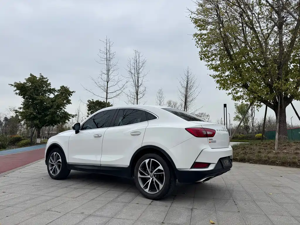 BORGWARD BAOWO BX6