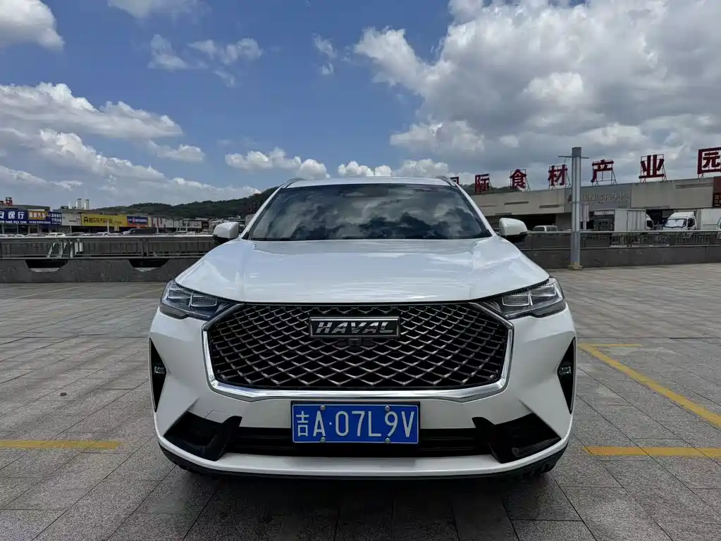 Haval H6 — миниатюра 2