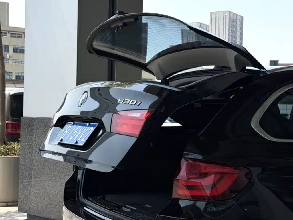 BMW 5 Series (Import) — миниатюра 6