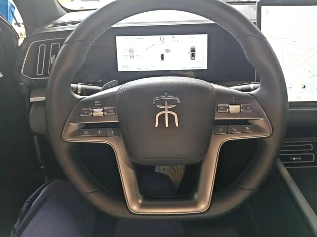 BYD Pro New Energy — миниатюра 11