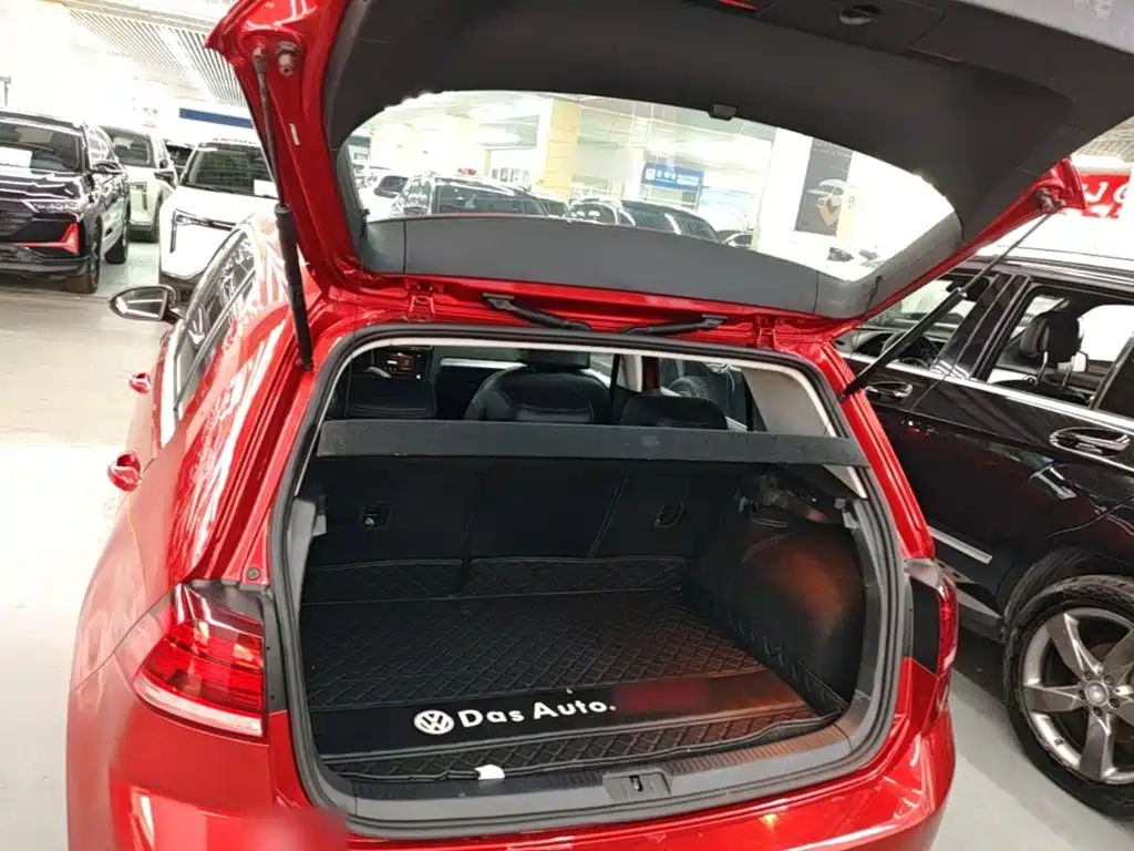 Volkswagen Golf — миниатюра 19