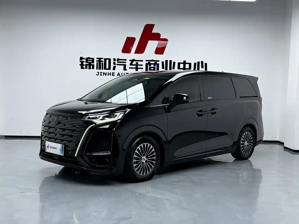 Denza D9