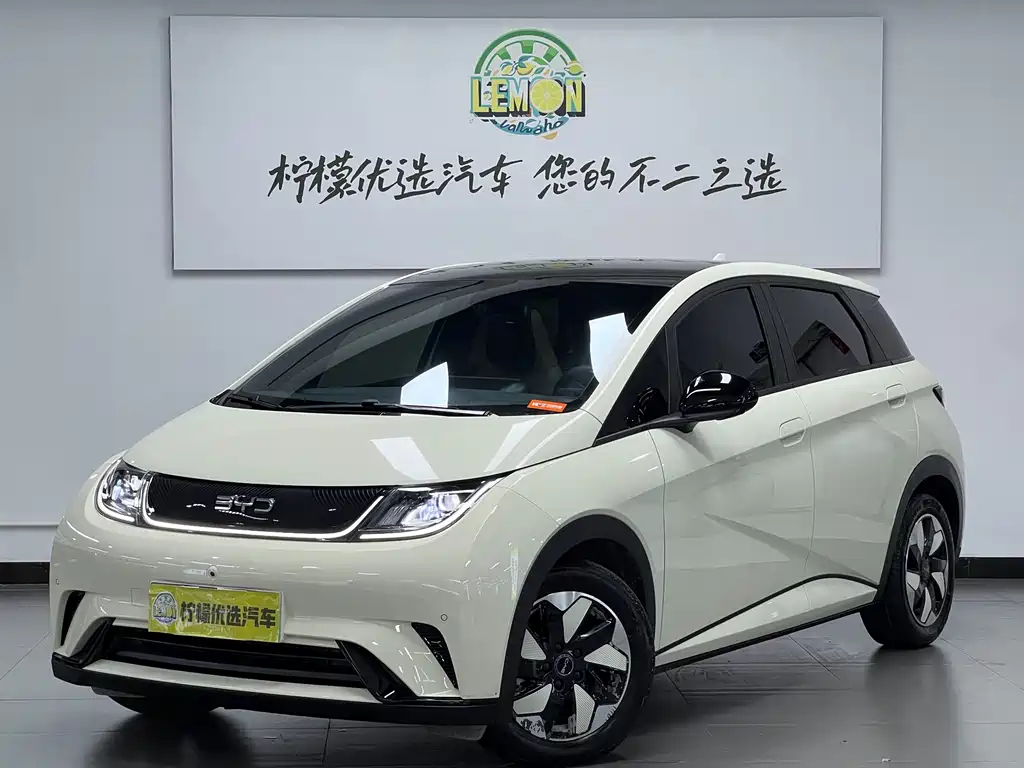 BYD Dolphin — миниатюра 2