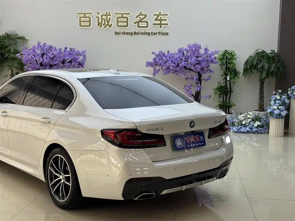 BMW 5 SERIES NEW ENERGY