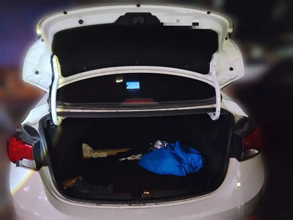 Hyundai Elantra Langdong — миниатюра 15