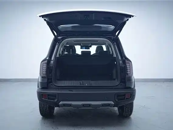 Haval Big Dog — миниатюра 5