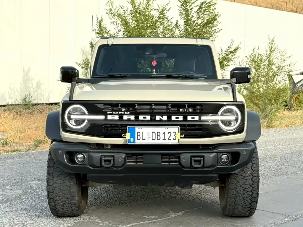 Ford Bronco — миниатюра 2