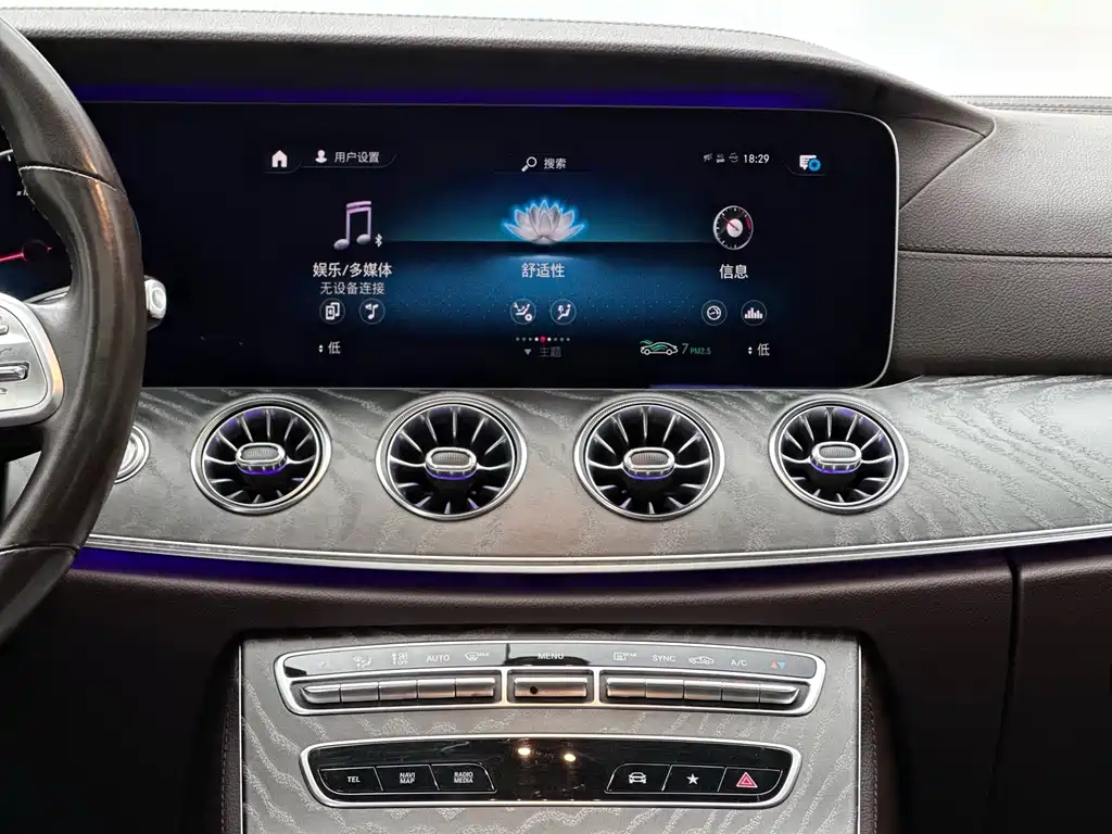 Mercedes-Benz CLS CLS 300 Dynamic Type, фото 6