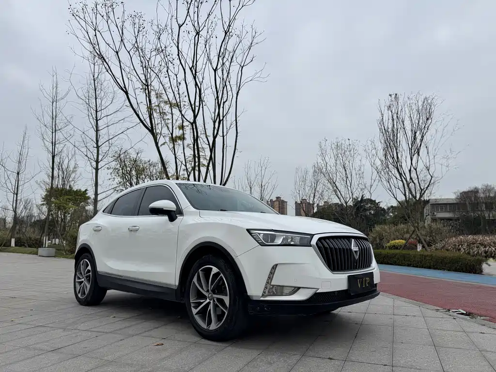 BORGWARD BAOWO BX6