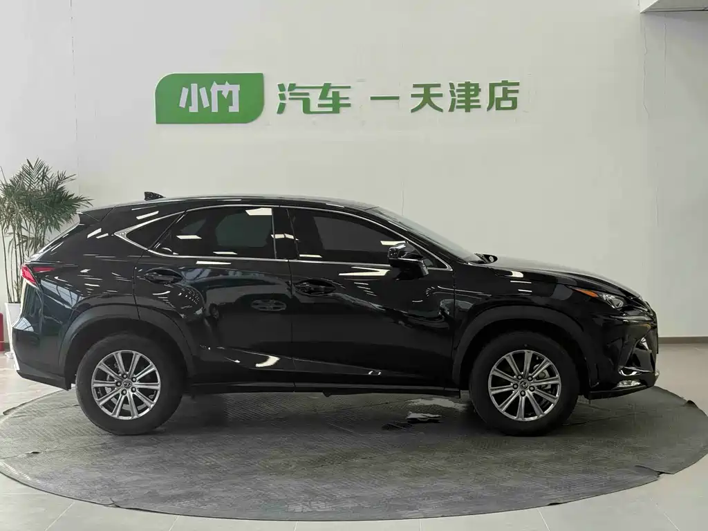 Lexus NX — миниатюра 4