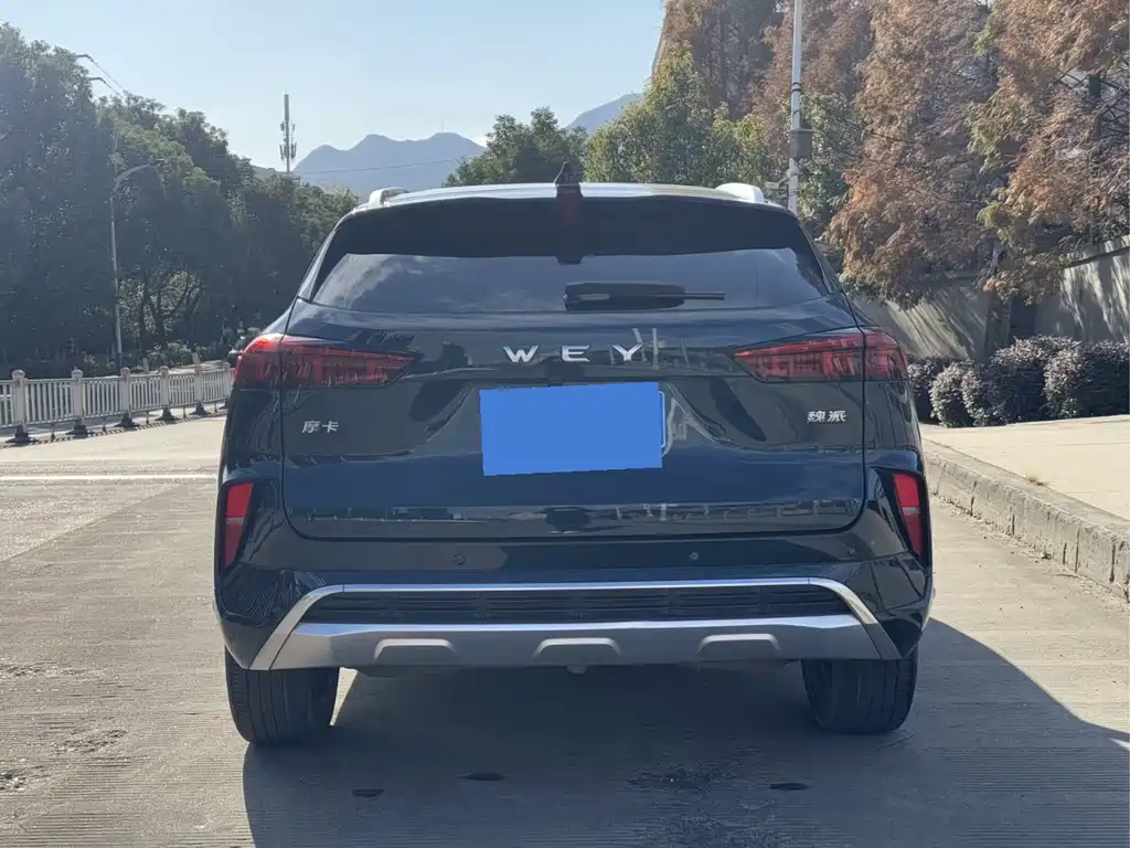 WEI PAI WEI BRAND MOCHA