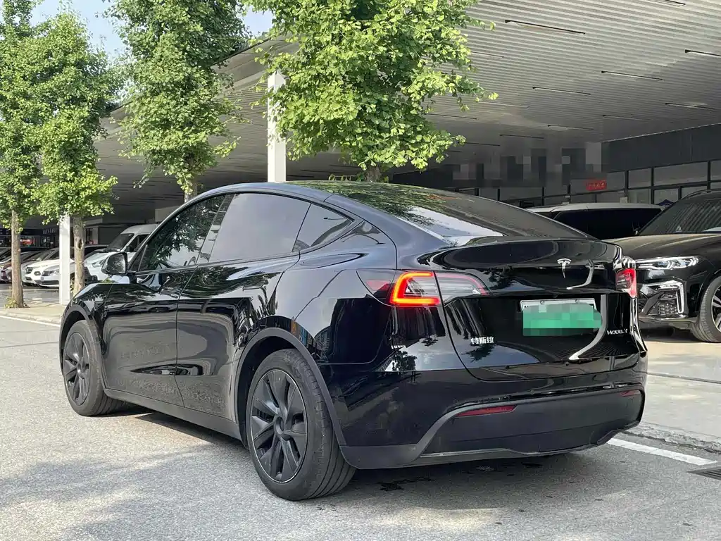 Tesla Model Y — миниатюра 10