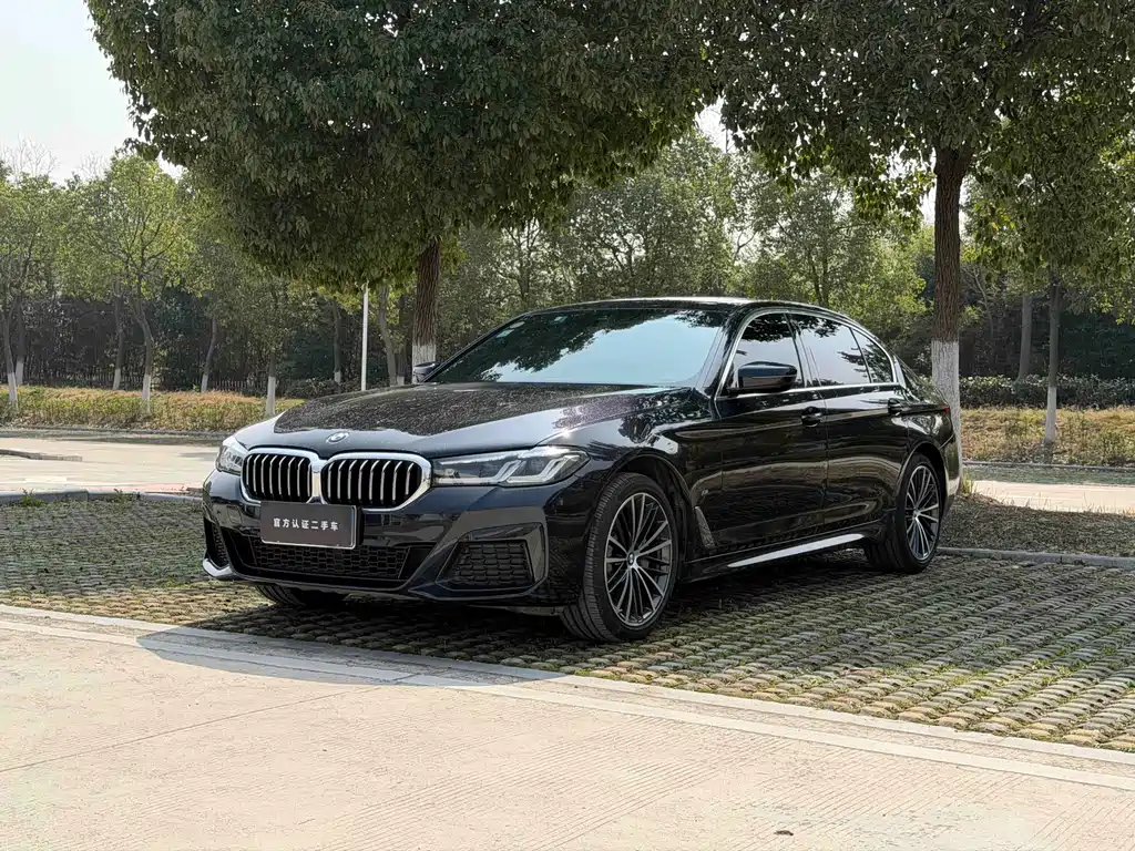 BMW 5 Series 2021