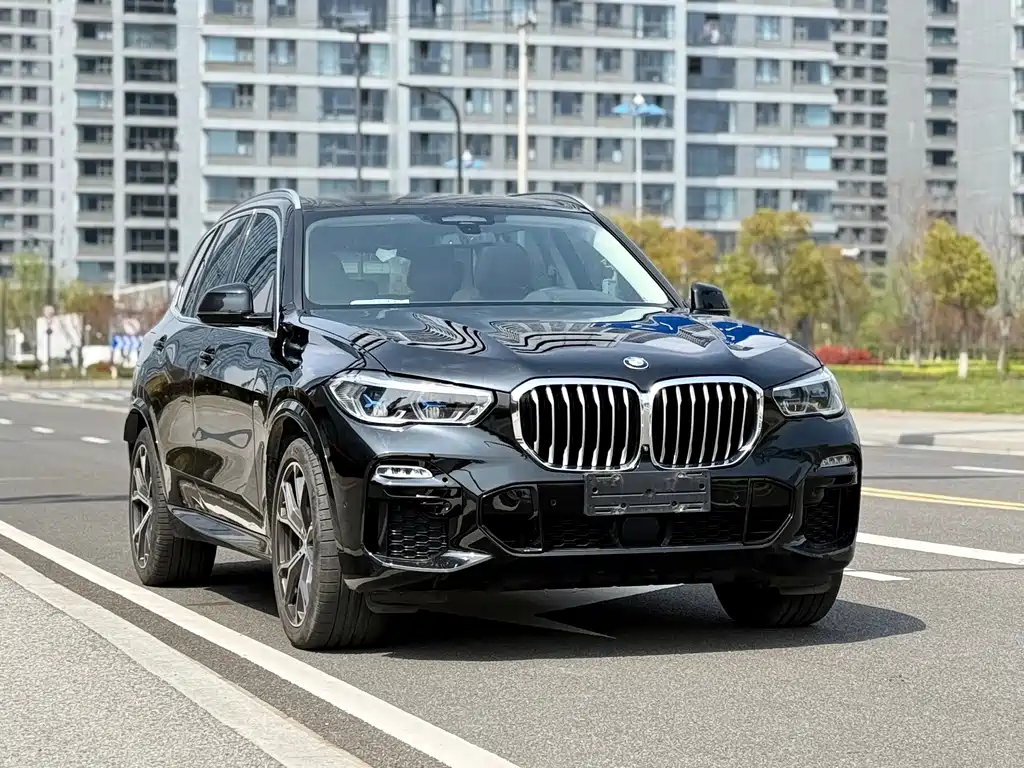 BMW X5 (Import) — миниатюра 3