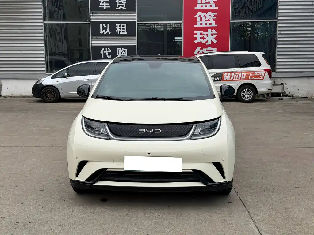 BYD Dolphin — миниатюра 2