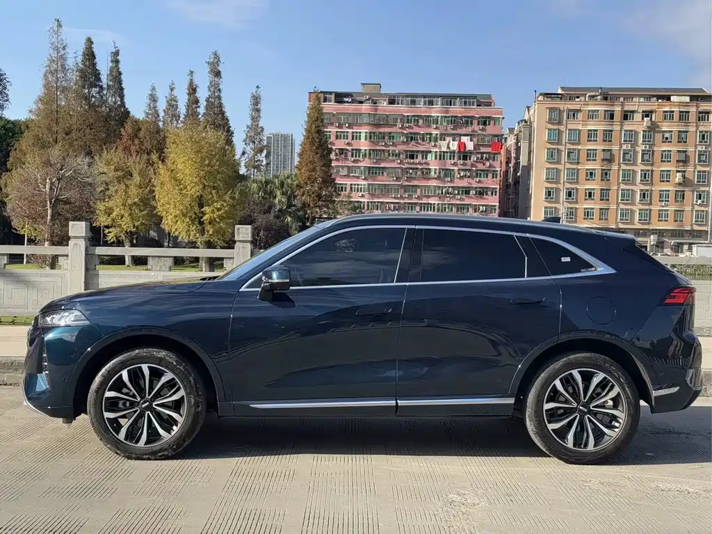 WEI PAI WEI BRAND MOCHA