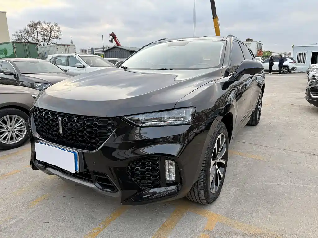 WEI PAI WEI BRAND VV7