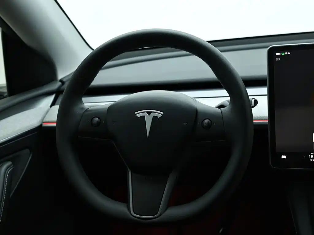 Tesla Model Y — миниатюра 16