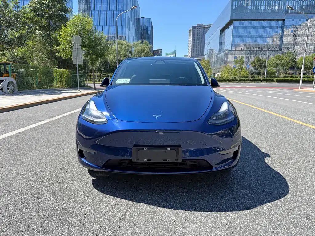 Tesla Model Y — миниатюра 2