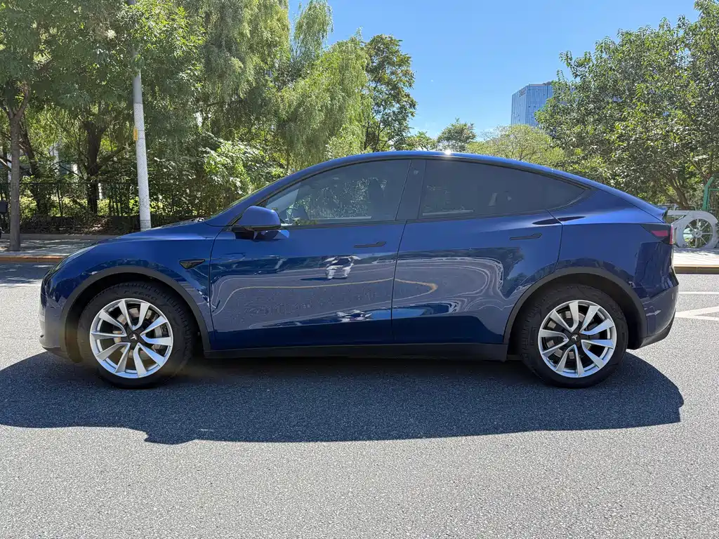 Tesla Model Y — миниатюра 5