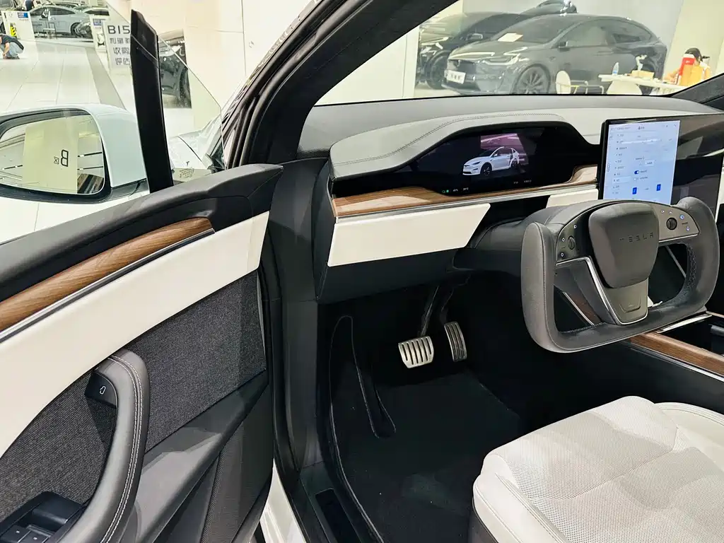 Tesla Model X — миниатюра 10