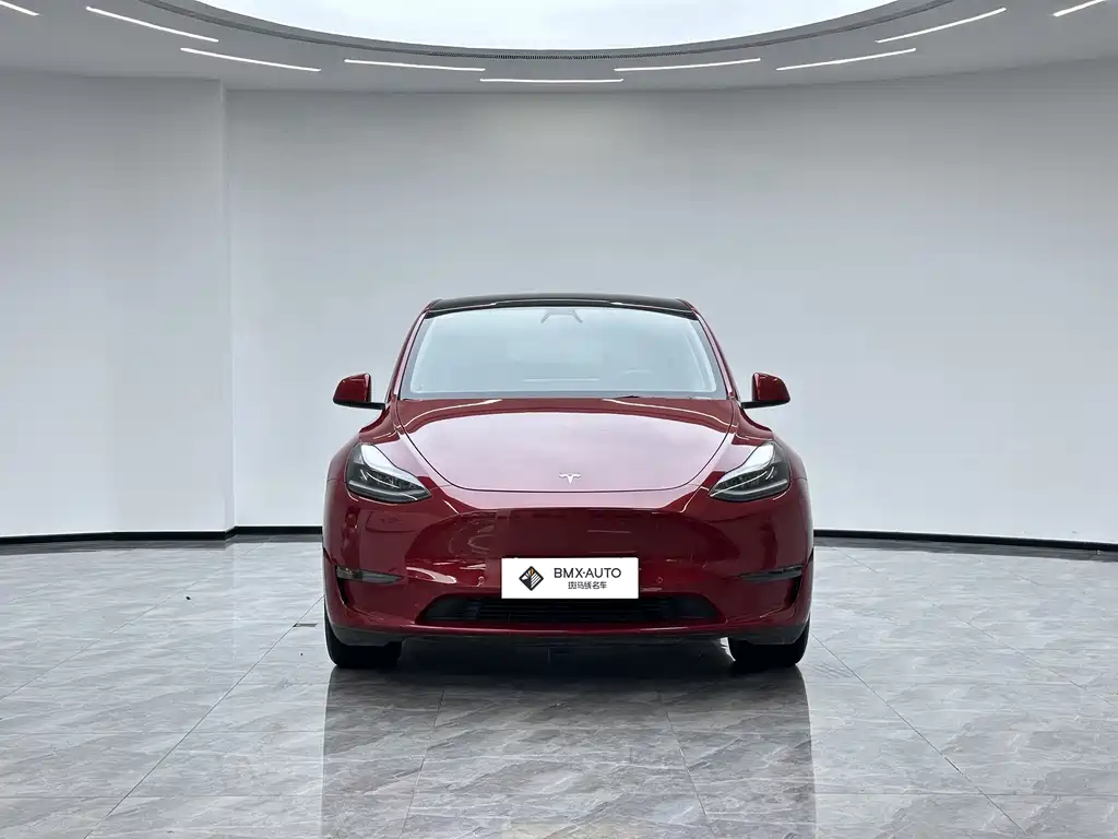 Tesla Model Y — миниатюра 4