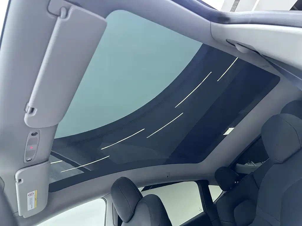 Tesla Model Y — миниатюра 19