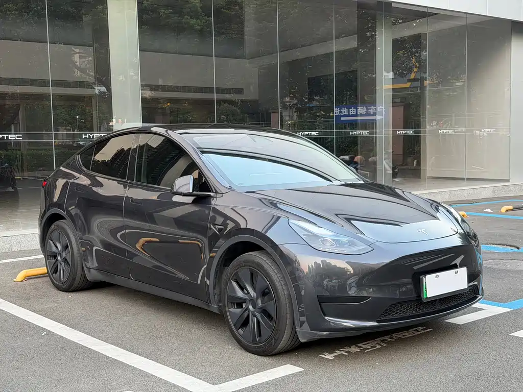 Tesla Model Y — миниатюра 3