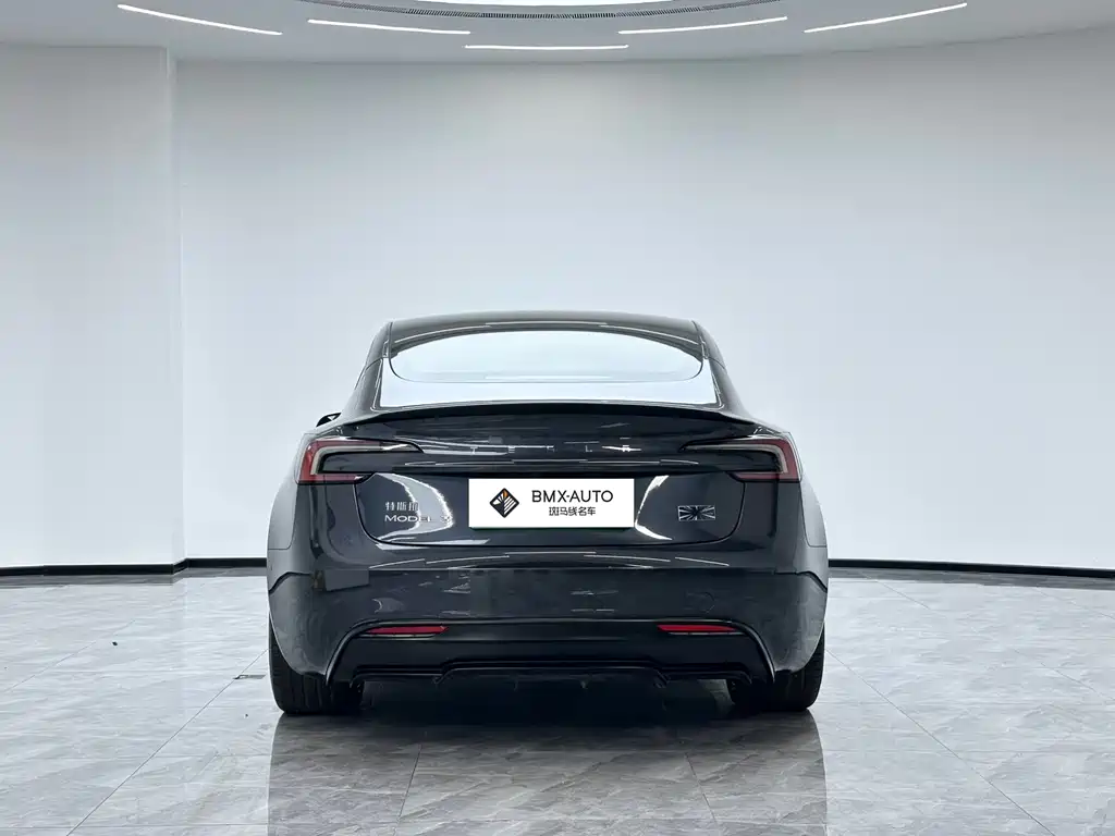 Tesla Model 3 — миниатюра 3