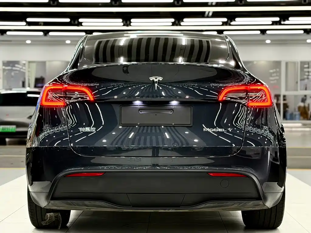 Tesla Model Y — миниатюра 5