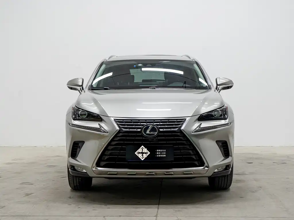 Lexus NX 2020 300h VI