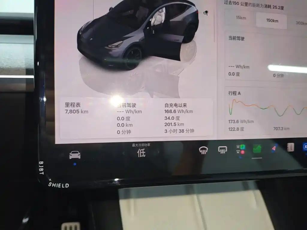 Tesla Model Y — миниатюра 12