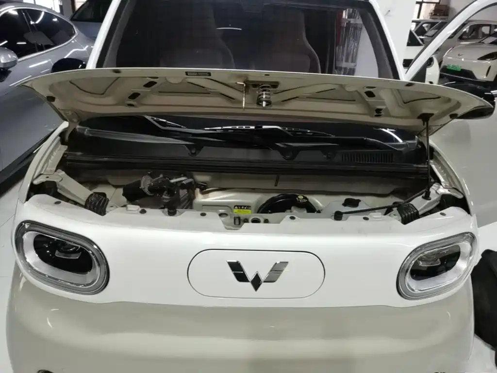 Wuling MINIEV — миниатюра 20