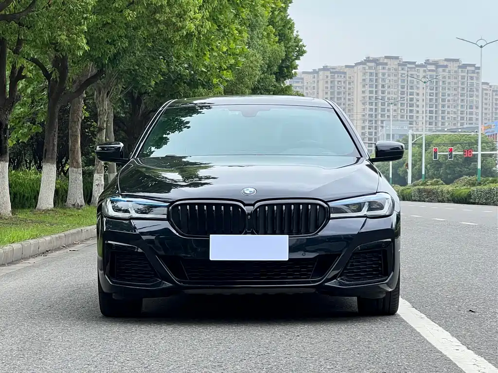 BMW 5 Series 5 2020 525Li M Sport
