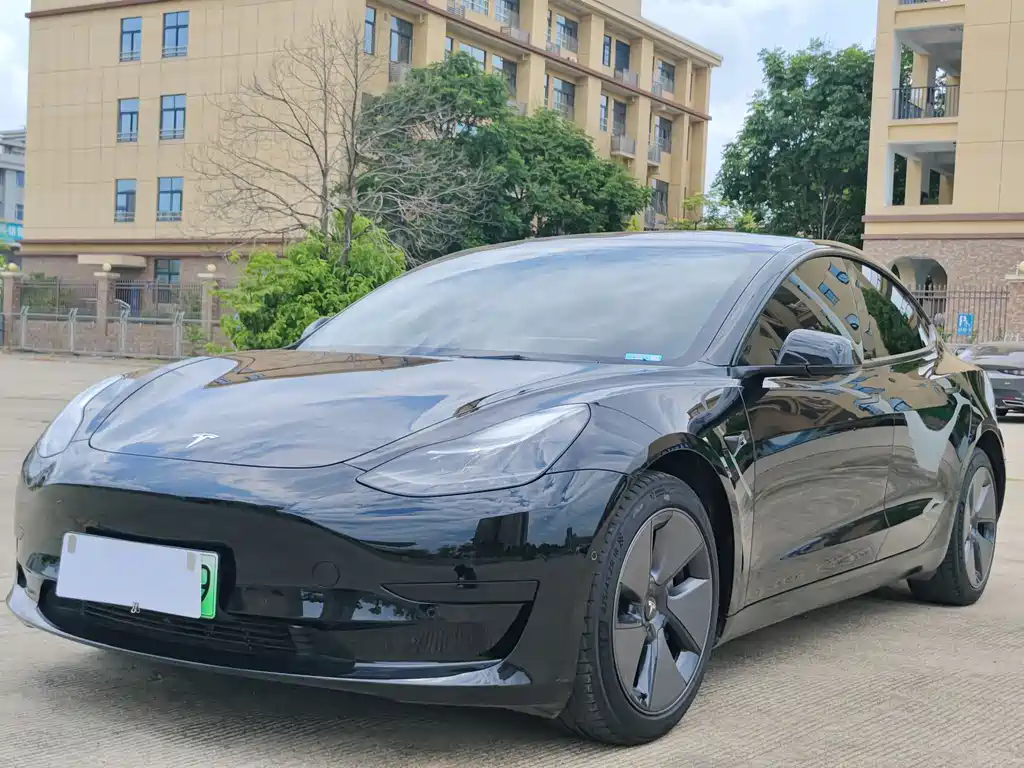 Tesla Model 3 2021