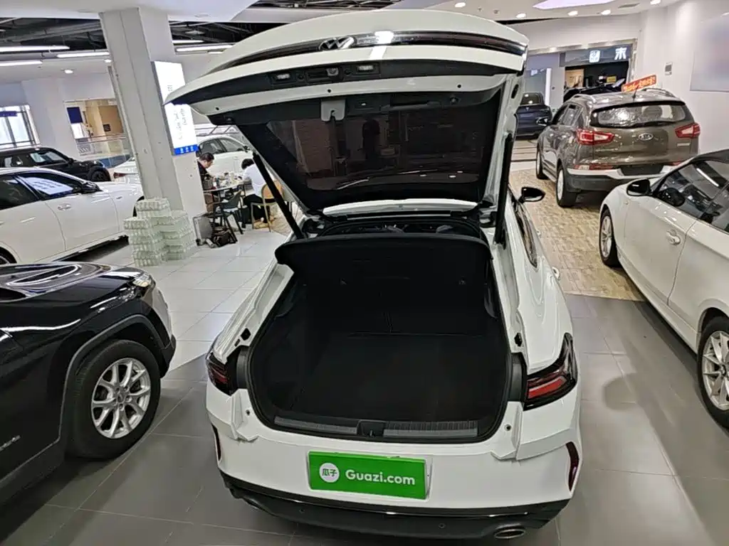 Volkswagen Lamando — миниатюра 19